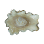 The Ivory Bloom Basin