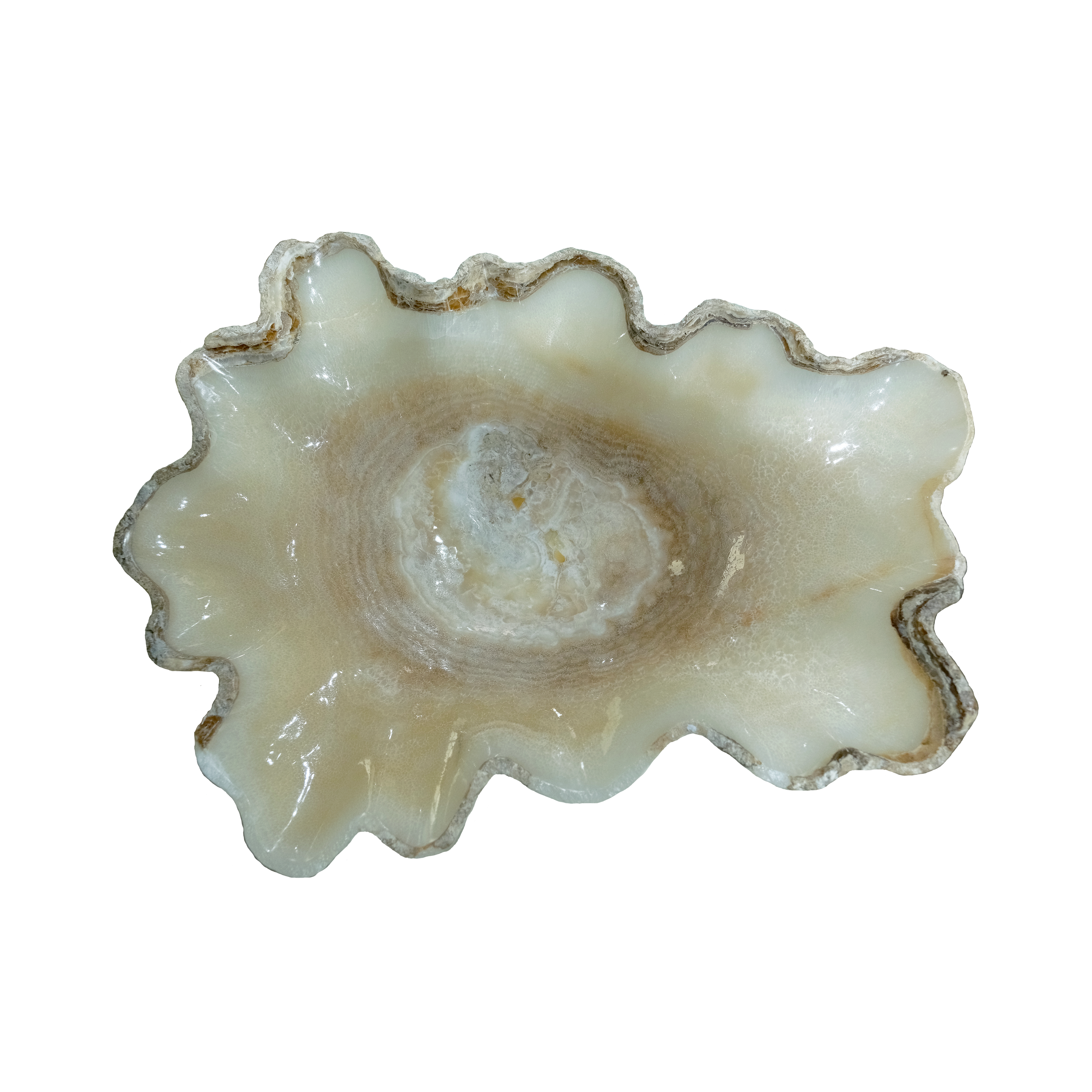 The Ivory Bloom Basin