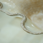 The Ivory Bloom Basin