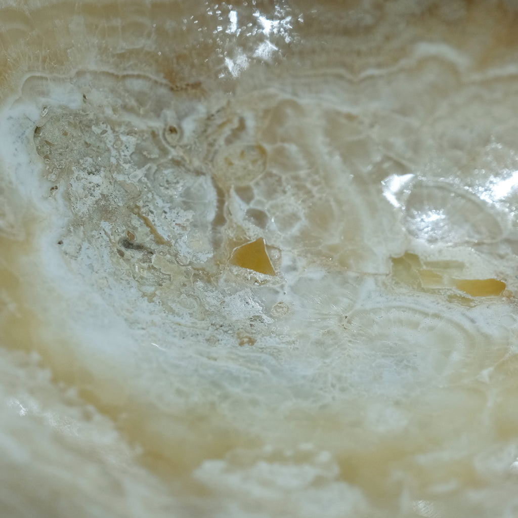 The Ivory Bloom Basin