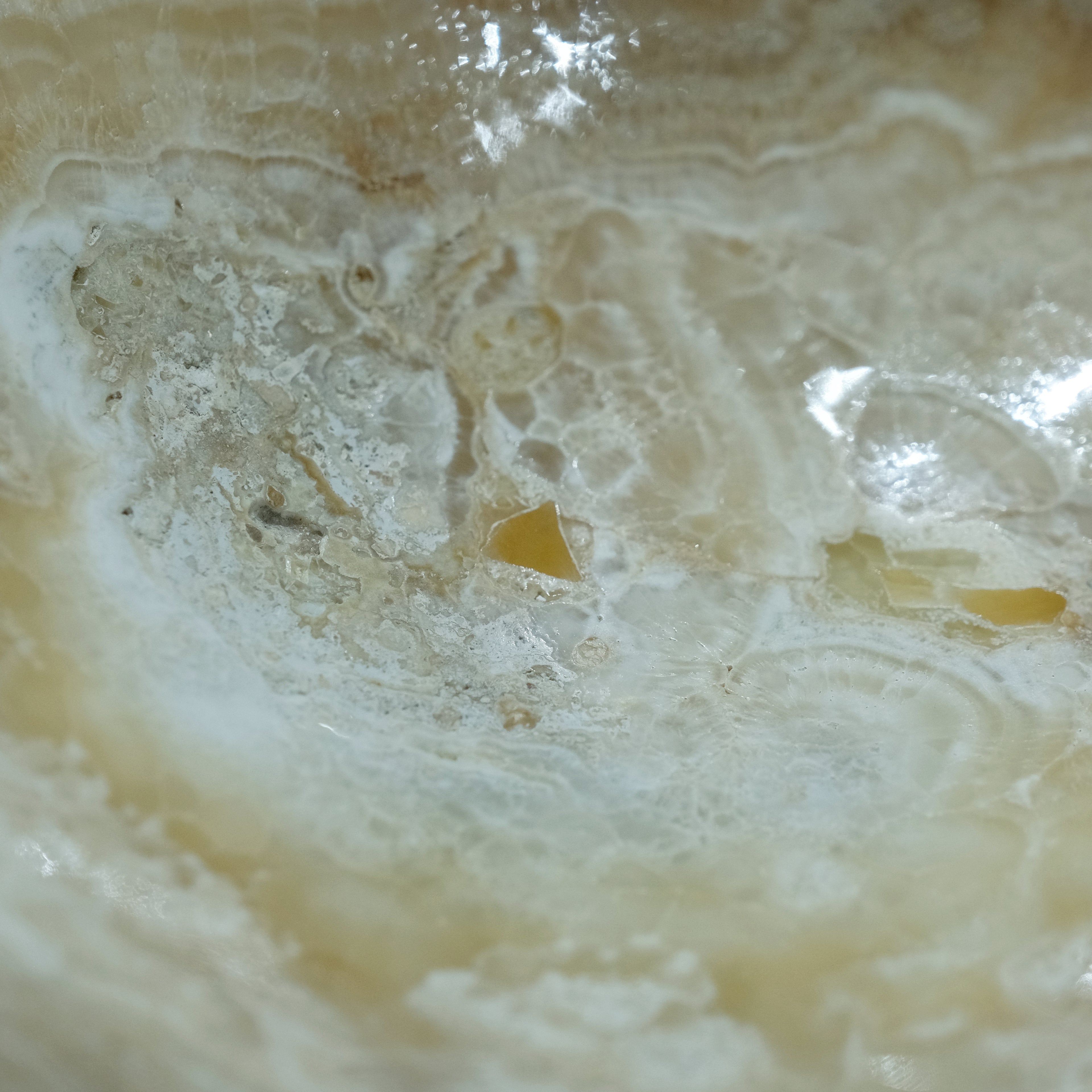 The Ivory Bloom Basin