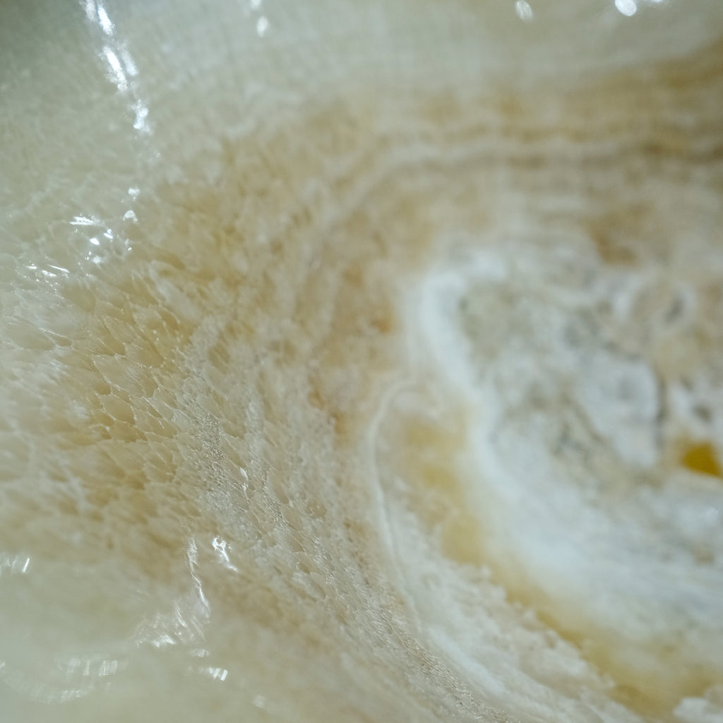 The Ivory Bloom Basin